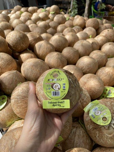 Fresh Coconut - Image 2